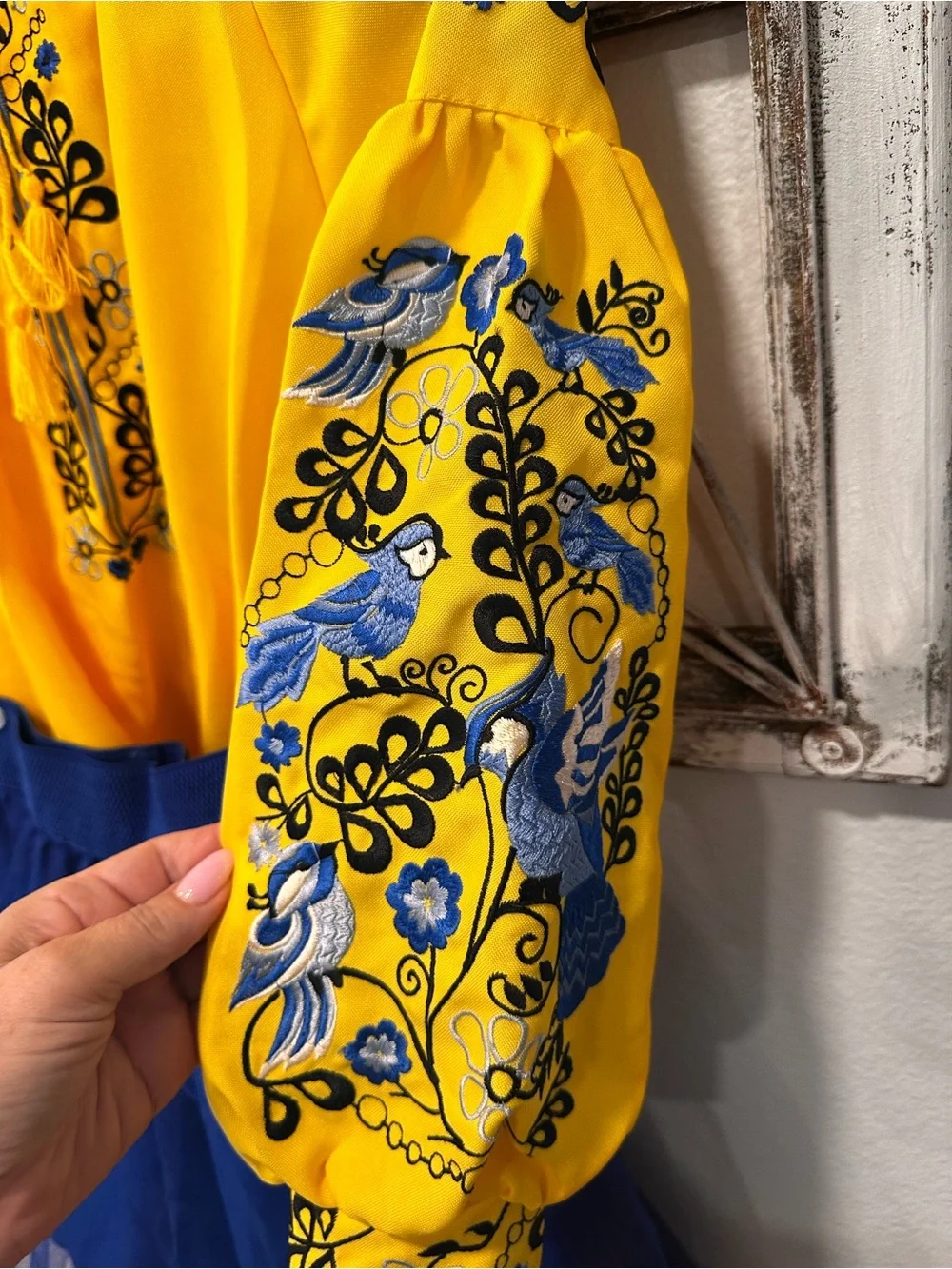 Ukrainian Vishivanka and Skirt Set